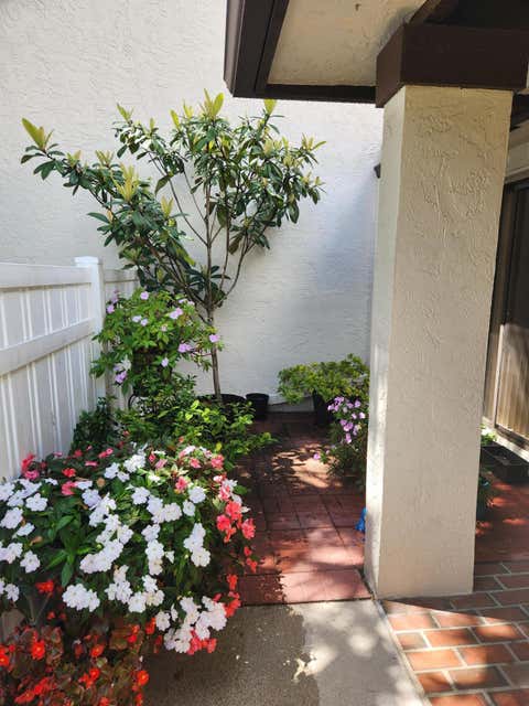 Tiny photo for 3226 S Carambola Cir S, Coconut Creek, FL 33066 (MLS # B26007964)