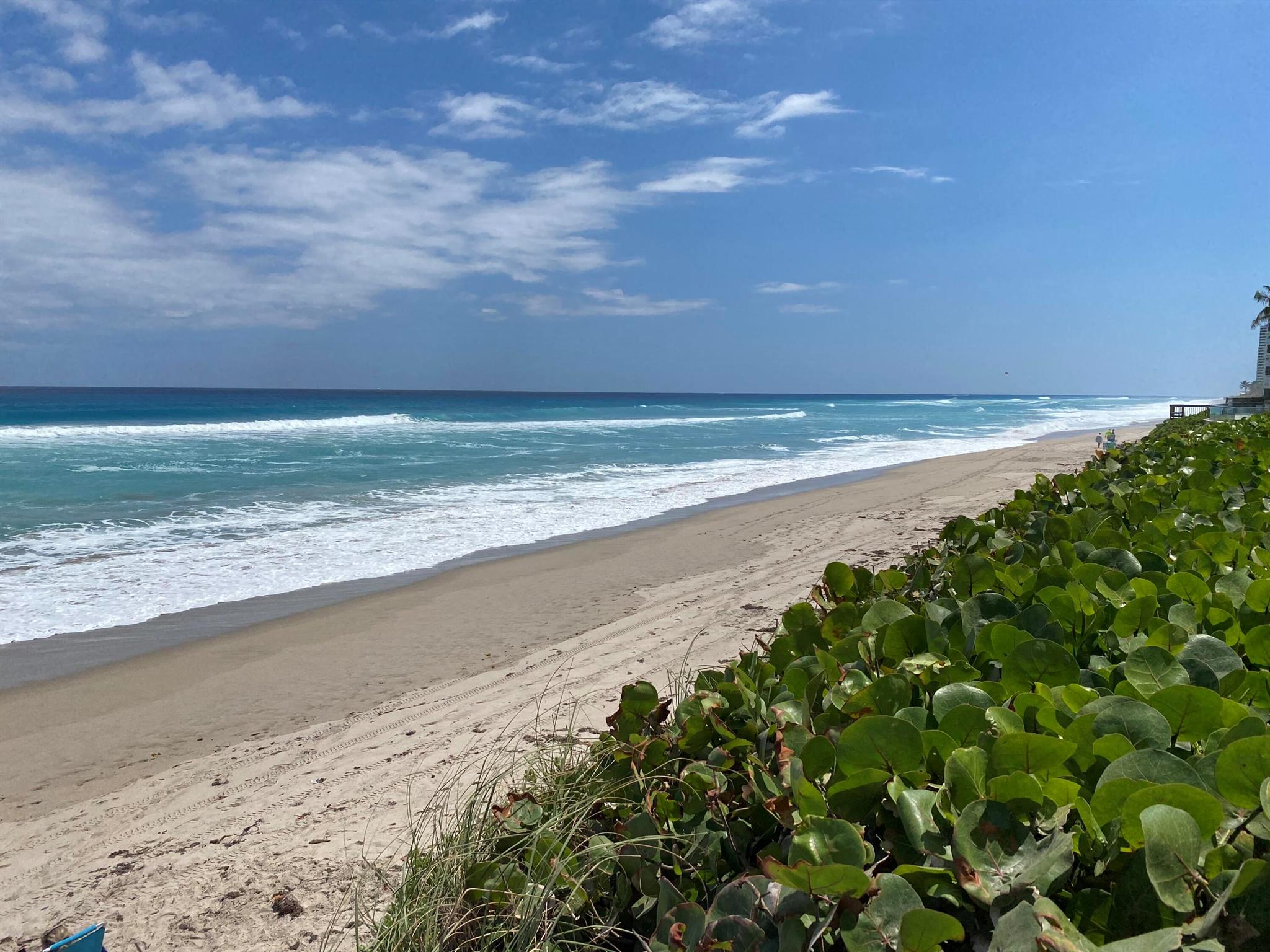 SEAGRAPE CONDO - Residential Lease