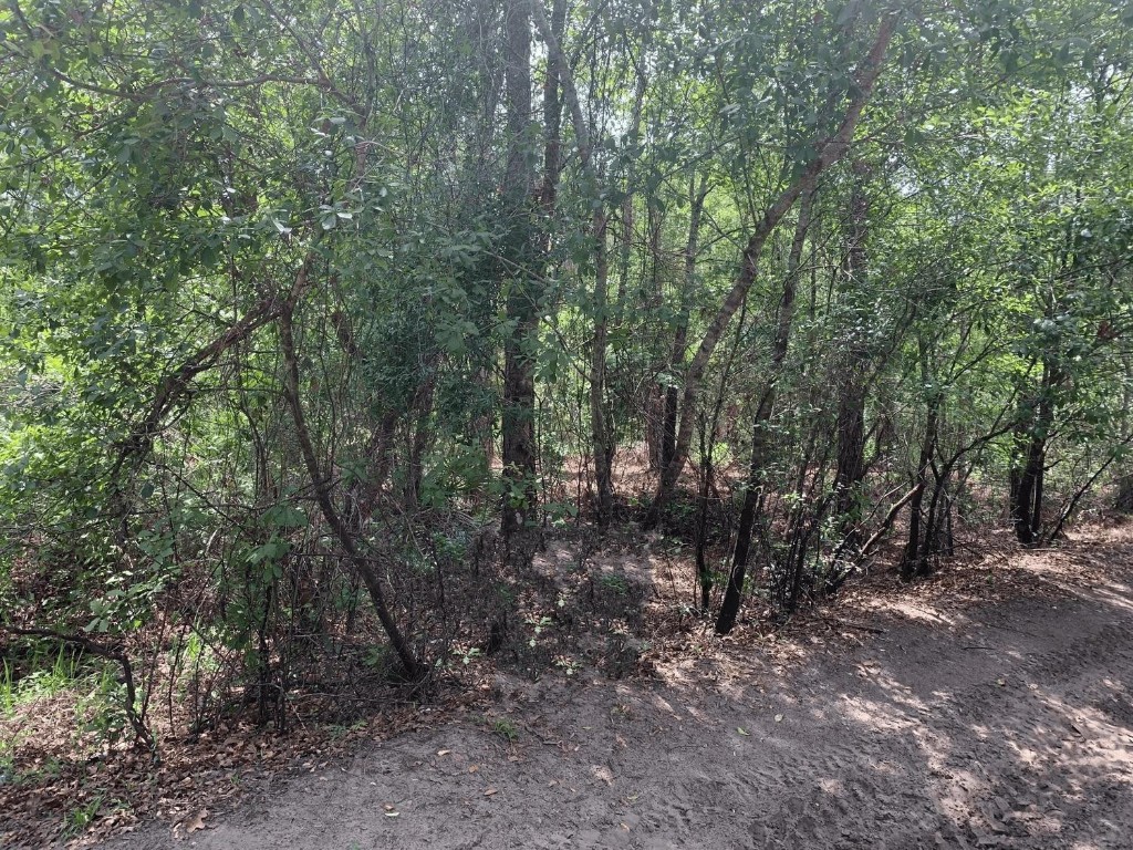 Rancho Bonito RB25 - Land