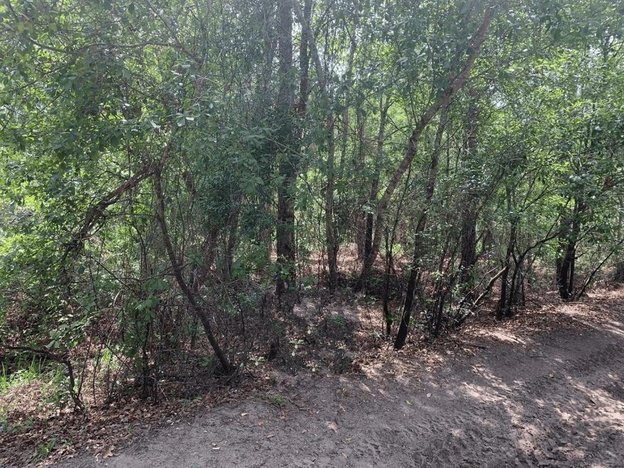 Own your own property in Rancho Bonito Community. Hunt, camp and ride. Owner financing available