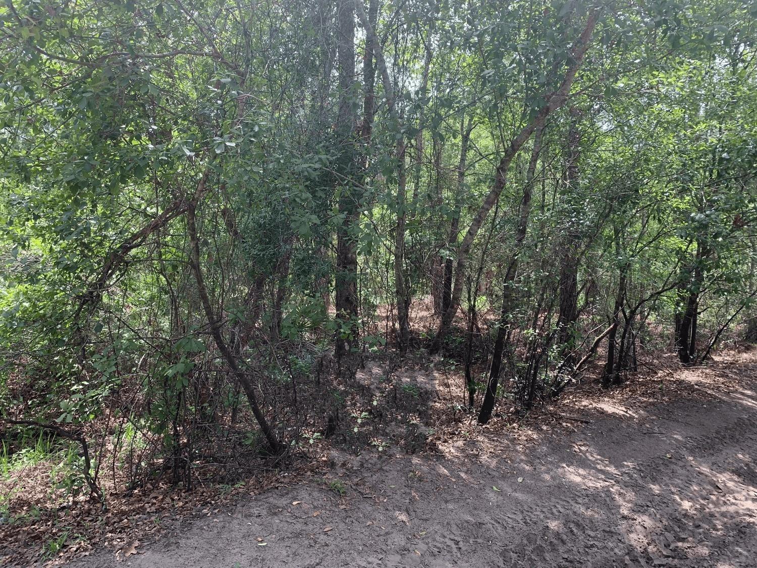 Rancho Bonito RB25 - Land