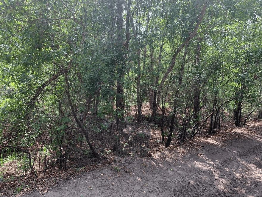 Own your own property in Rancho Bonito Community. Hunt, camp and ride. Owner financing available