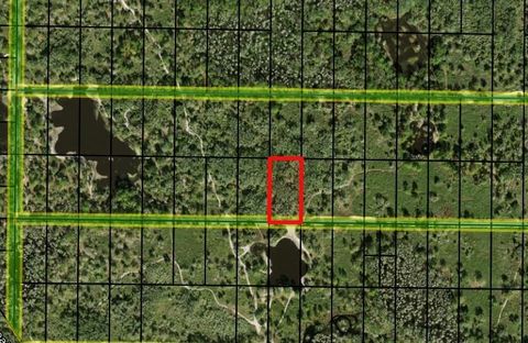 0 County RD 54 E Kathleen FL 33849