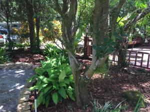 OUTDOOR RESORTS RIVER RANCH RV RESORT PHASE 3 RV L - Land