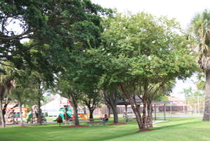 Hidden Lake - Residential