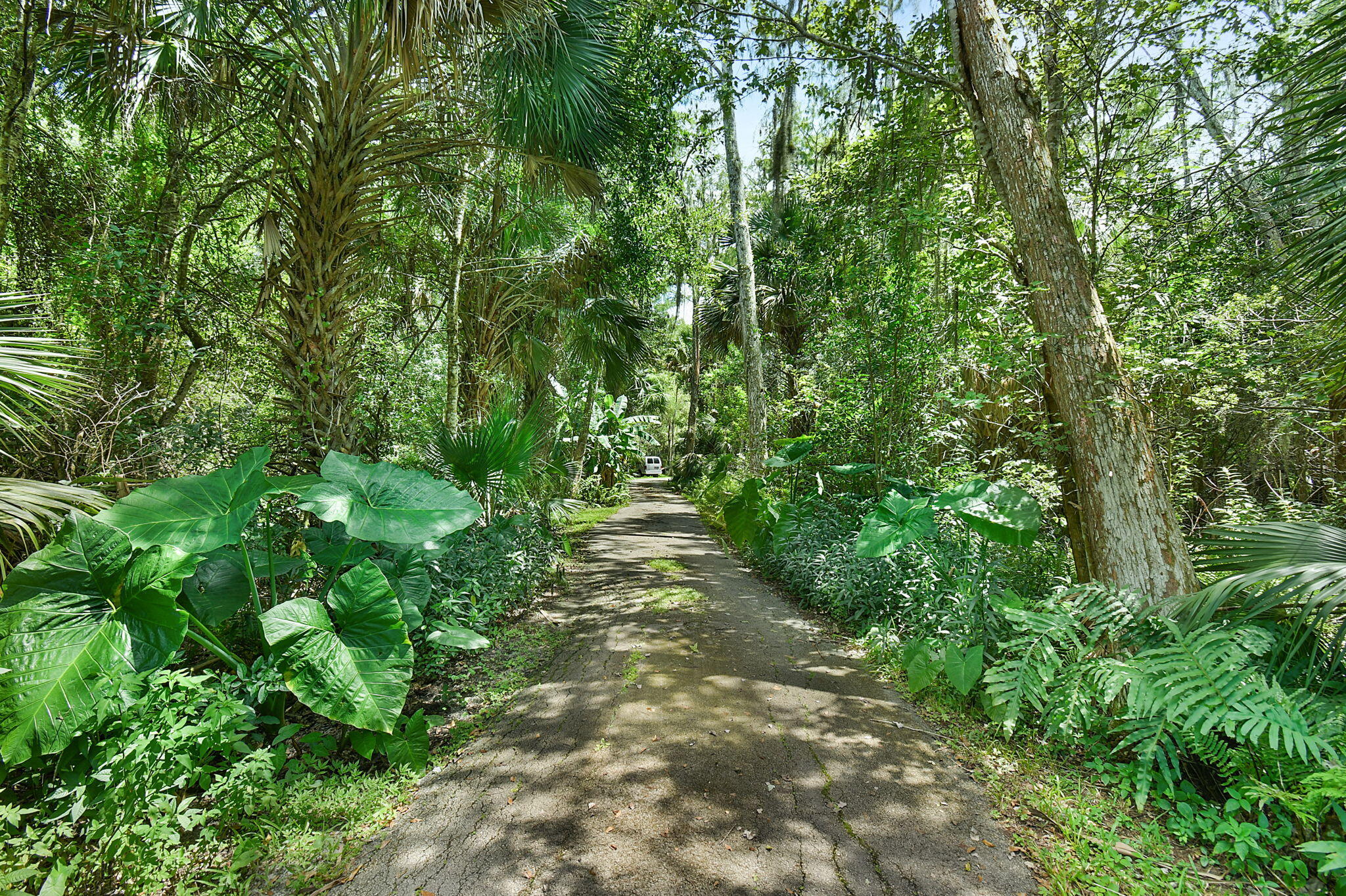 17475 Hammock Lane