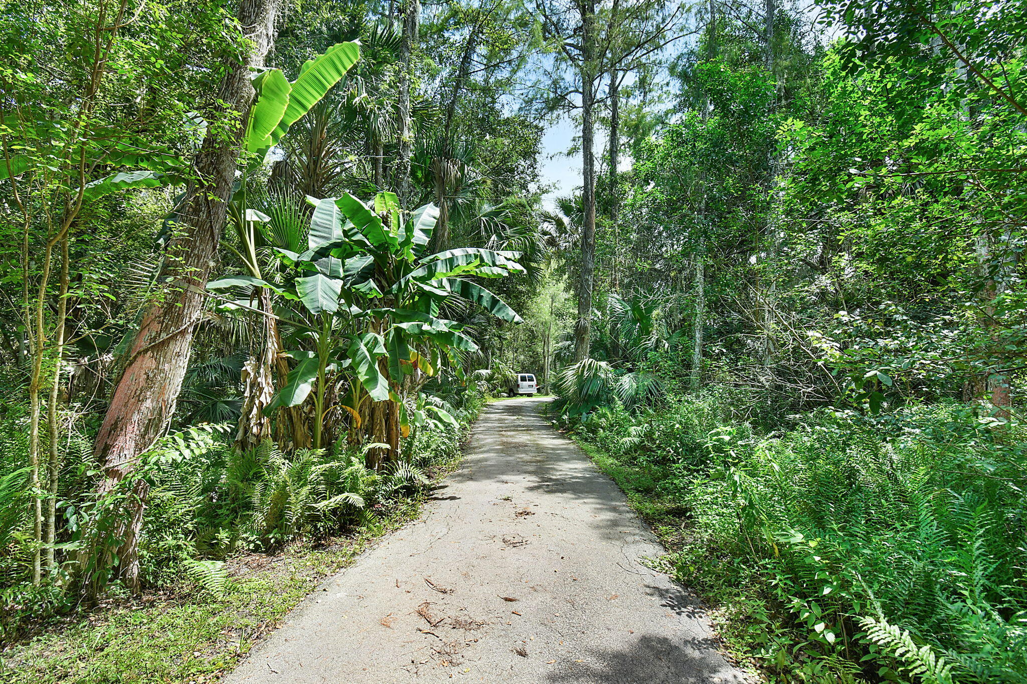 17475 Hammock Lane