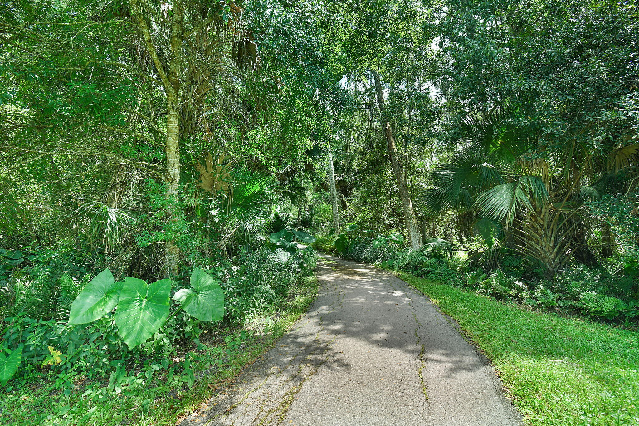 17475 Hammock Lane