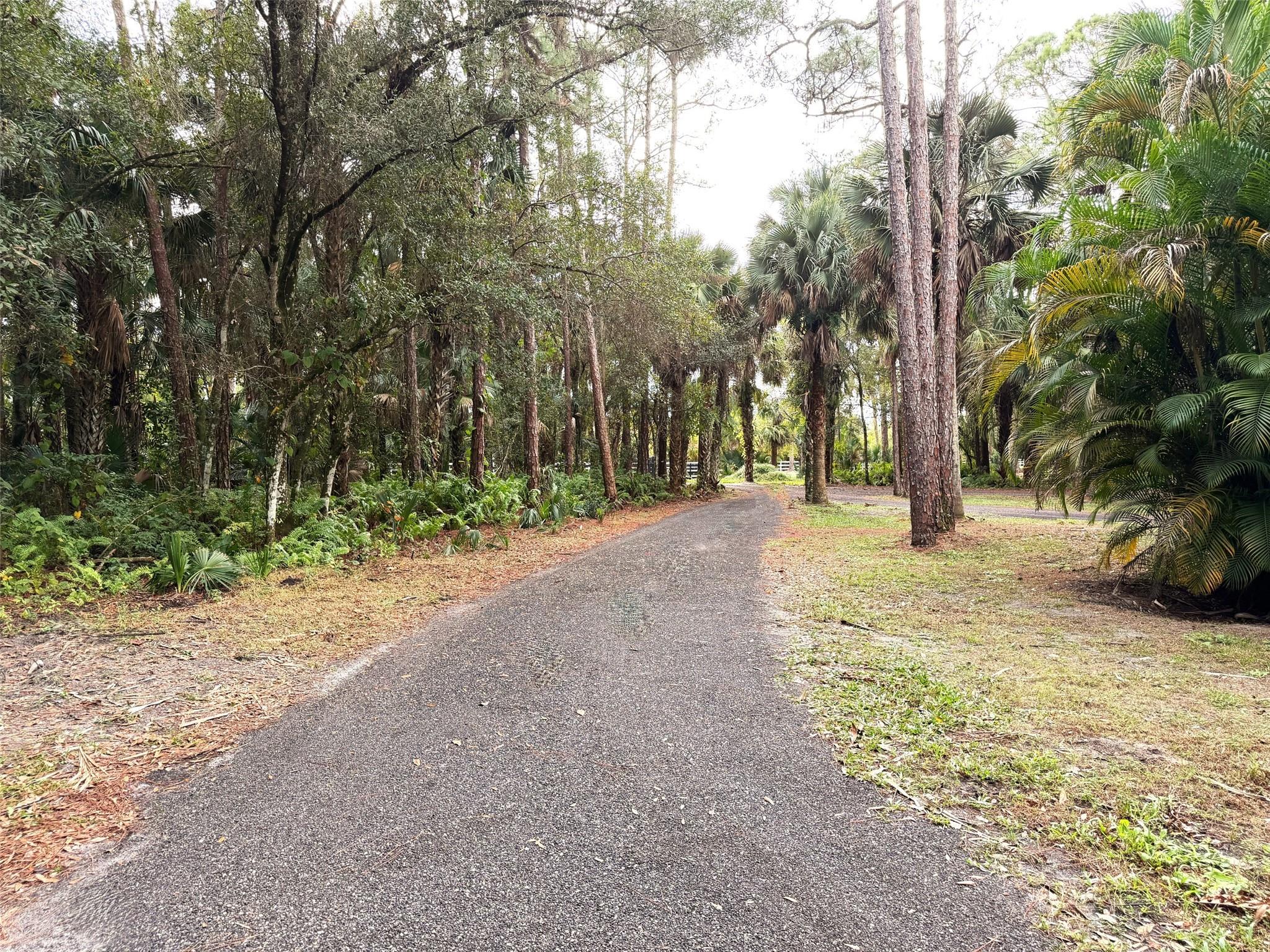 Palm City Farms - Residential