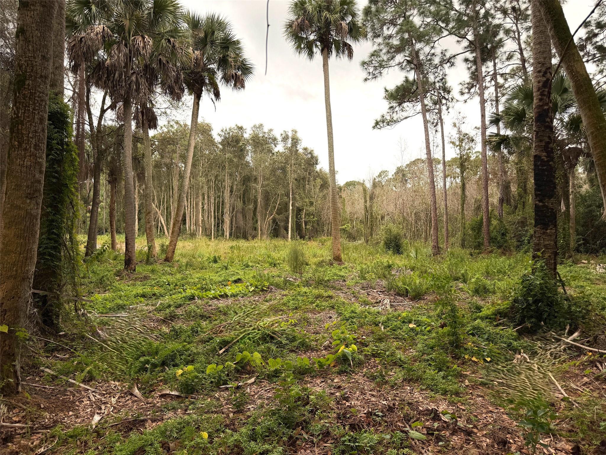 Palm City Farms - Residential