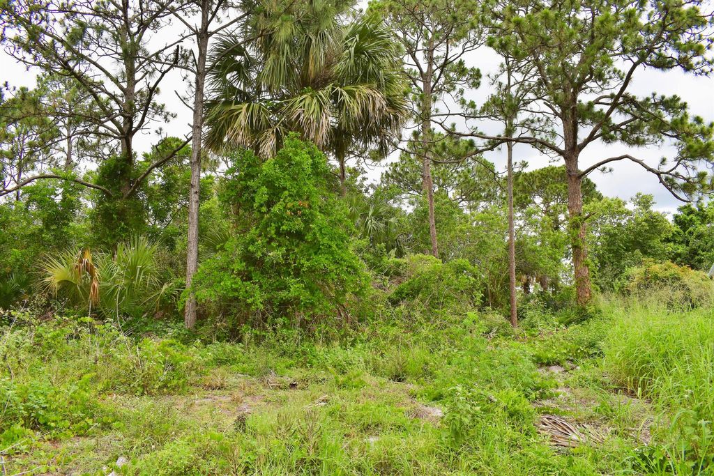 Photo of 2902 SW Moody Terrace, Port St Lucie, FL 34953 (MLS # R10892801)