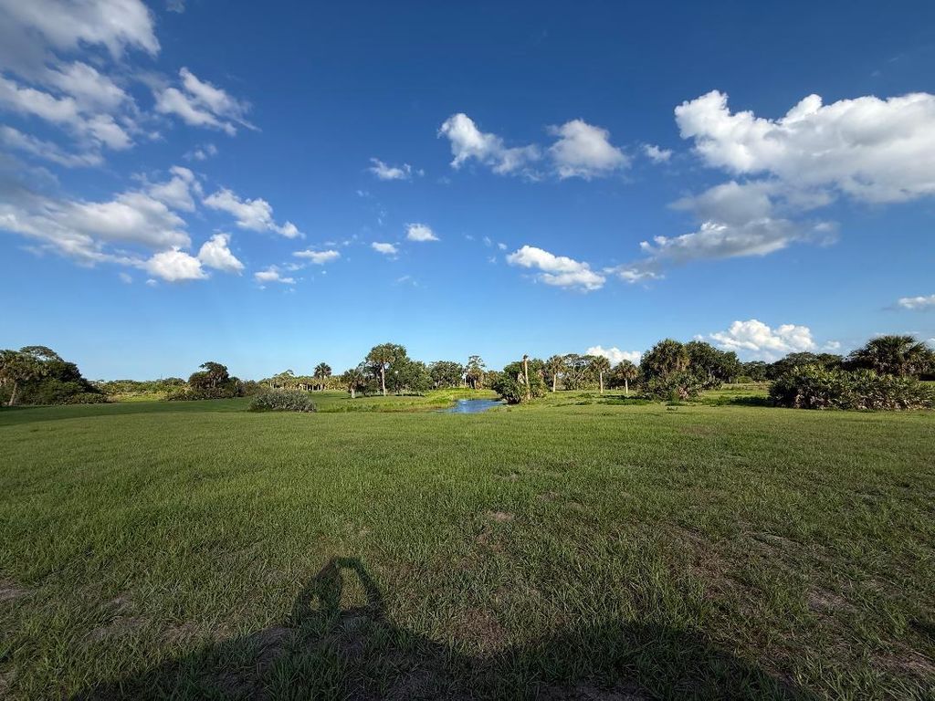 Photo of 4902 Wild Turkey Lane, Okeechobee, FL 34974 (MLS # B26029686)
