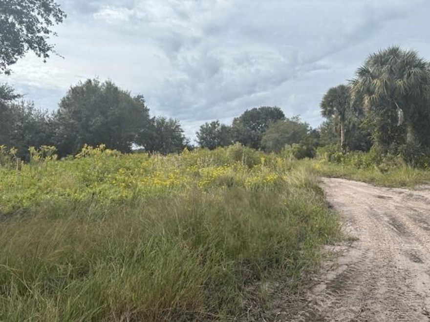 1.25 acres in Viking Estates. Close to the Kissimmee Prairie State Park. Bring your 4 -wheelers. This property is not only ideal for recreational uses such has camping, hunting and shooting, but it’s agricultural as well.
Adjacent property availble.