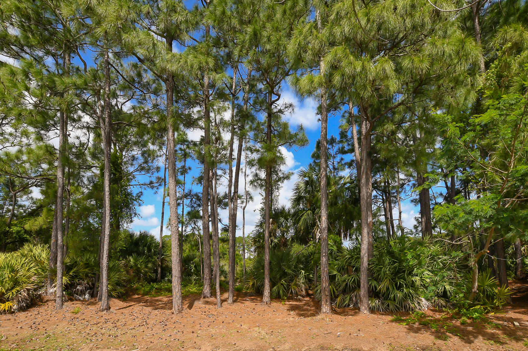 LAKE FOREST POINTE - Residential