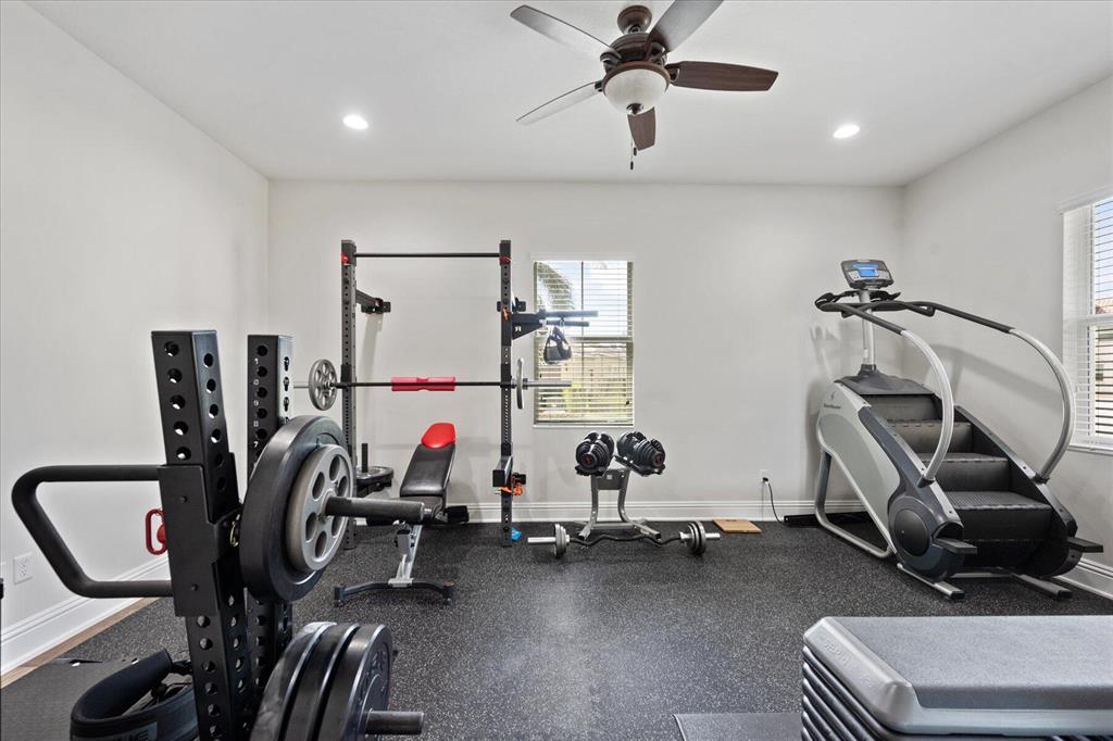 OLYMPIA 2 - Residential