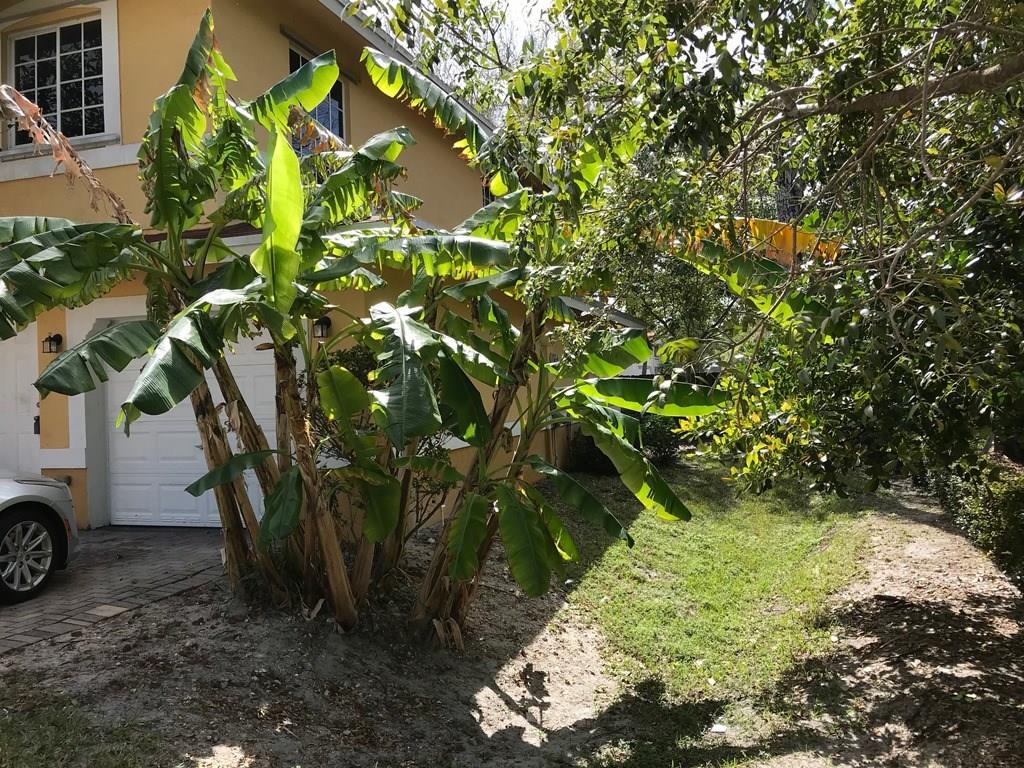 Avon Point Townhomes - Residential