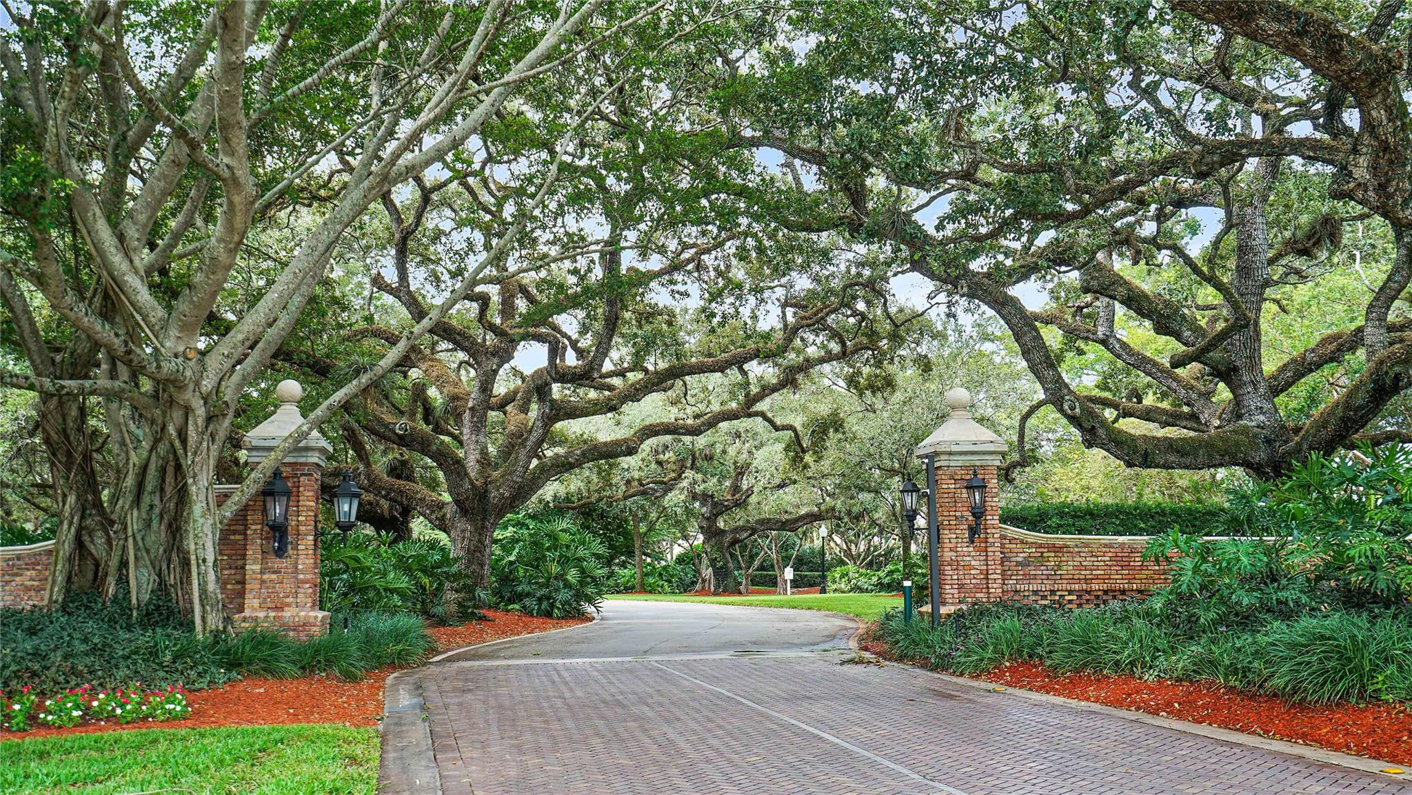 Forest Ridge - Residential
