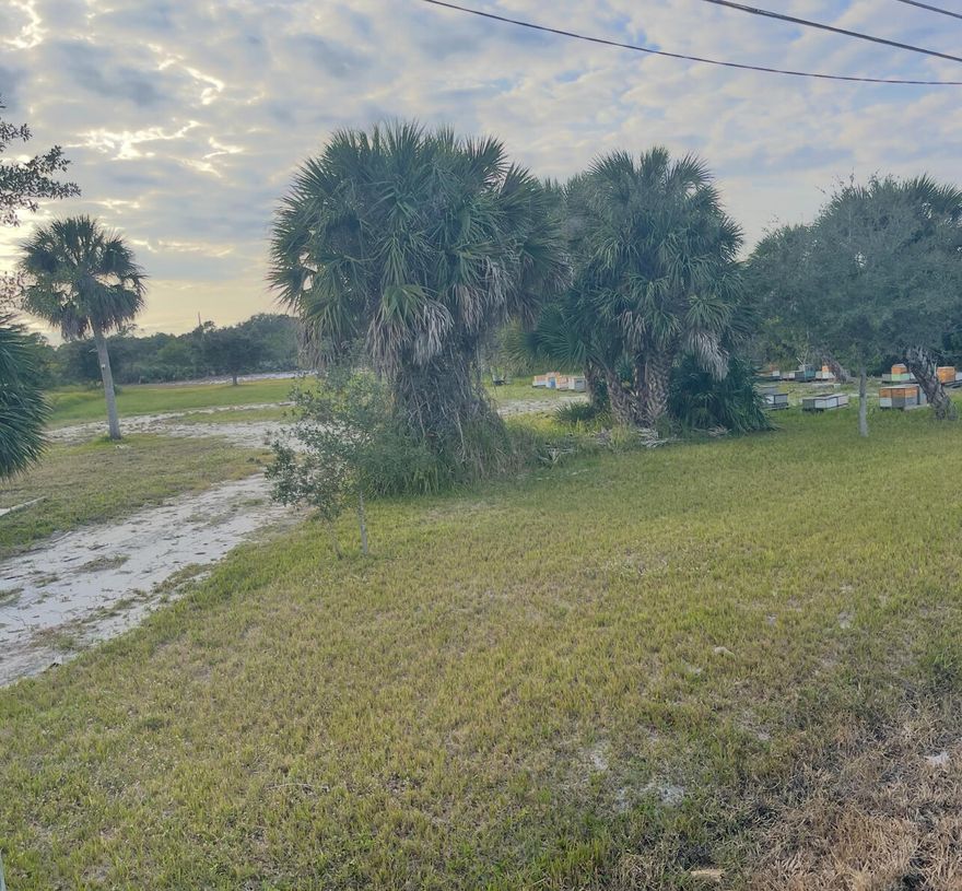 Price Improvement and seller says BRING ALL REASONABLE OFFERS! Prime commercial opportunity in Grant-Valkaria! This BU-1 zoned parcel is ideally positioned directly across Highway 1 from the Indian River Lagoon, offering exceptional visibility in an extremely high-traffic corridor along one of the Space Coast's main north-south arteries. The property has already been cleared and filled, significantly reducing upfront development costs and time to build. BU-1 zoning allows for a wide range of commercial and mixed-use possibilities, making this an excellent site for retail, professional services, marine-related businesses, or other commercial uses. Surrounded by established development and daily commuter traffic, this location provides outstanding exposure and accessibility.  A rare opportunity to secure a ready-to-develop commercial lot in a highly trafficked, desirable and growing area.