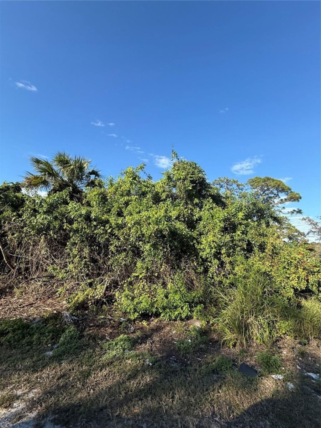 Photo of 0 Avenue G, Fort Pierce, FL 34947 (MLS # F10548442)