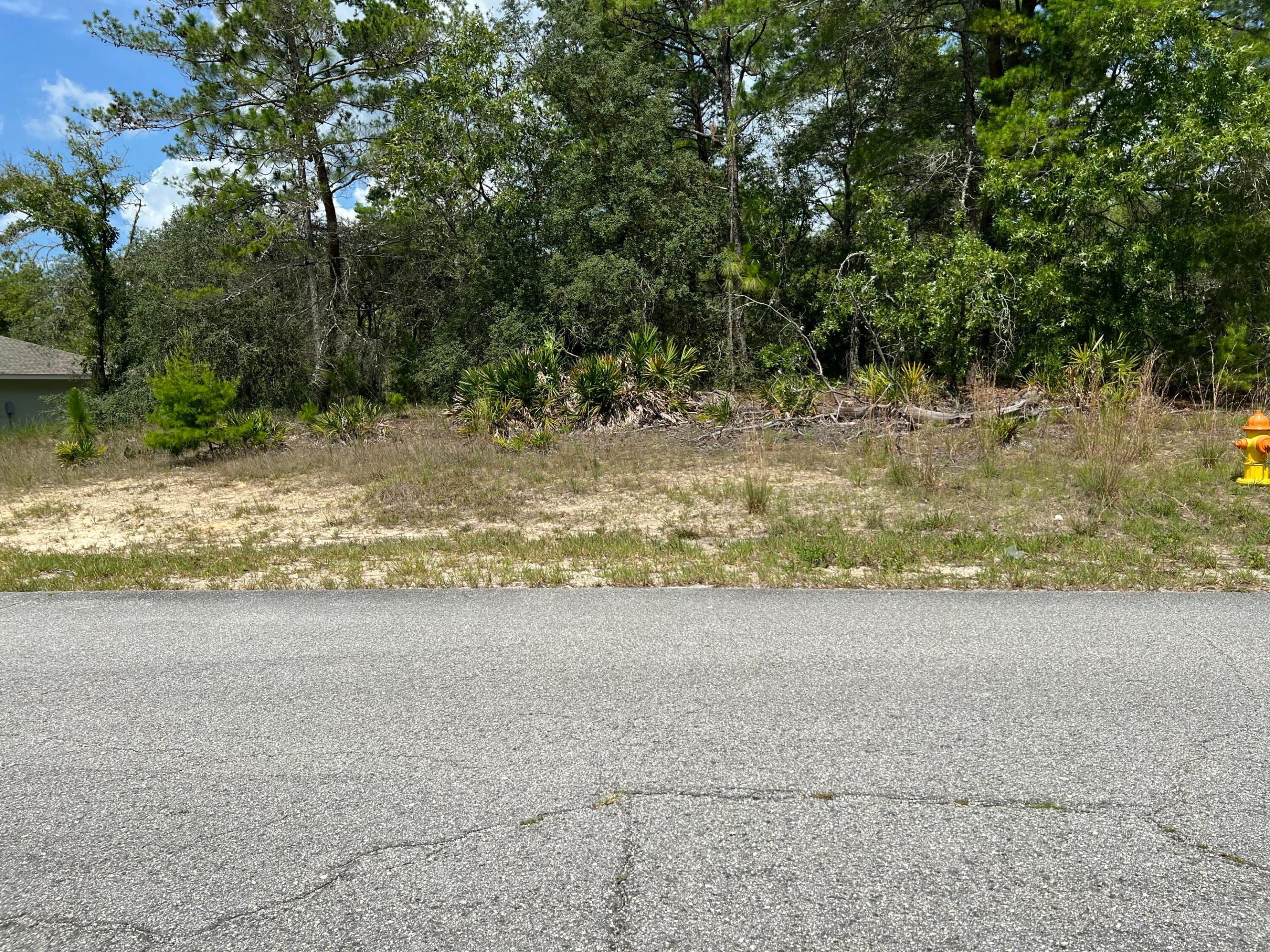 000396 - CITRUS SPRINGS UNIT 22 - Land