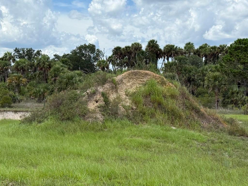 THE SOUTHERN COLONIZATION COMPANY PLAT - Land