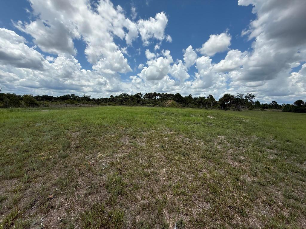 THE SOUTHERN COLONIZATION COMPANY PLAT - Land