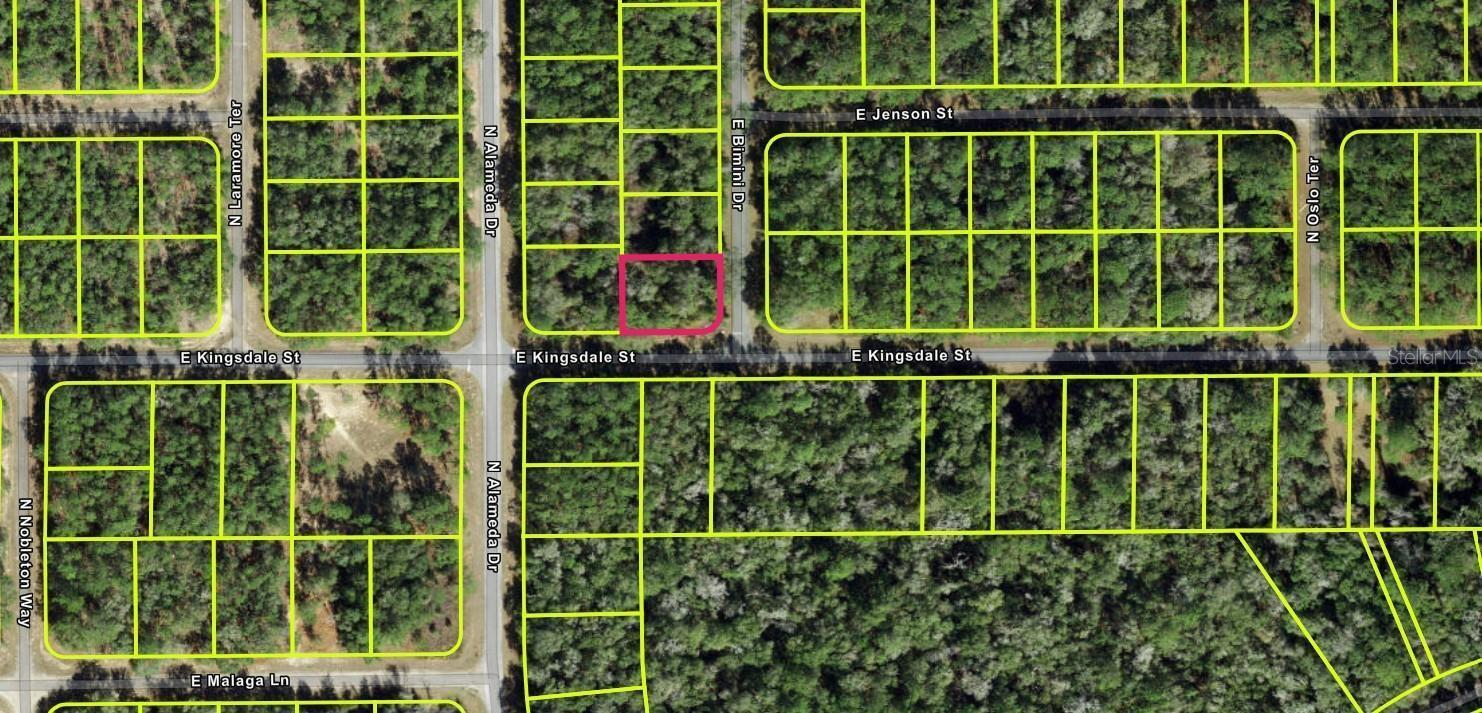 Prime Buildable Lot in Growing Citrus Springs! Don't miss this excellent opportunity to own a beautiful homesite in one of Citrus County's most desirable and fast-growing communities. This oversized lot is nestled on a quiet street and surrounded by well-maintained homes, offering the perfect location for your future dream home or investment property. This beautiful residential parcel offers a peaceful, wooded setting with paved road access, no HOA, and public water available. Located just minutes from schools, shopping, dining, golf courses, and the scenic Withlacoochee State Trail for biking and nature walks.Whether you're looking to build your forever home or invest in the future, this lot is ideal with nearby schools, shopping, medical facilities, and recreational opportunities