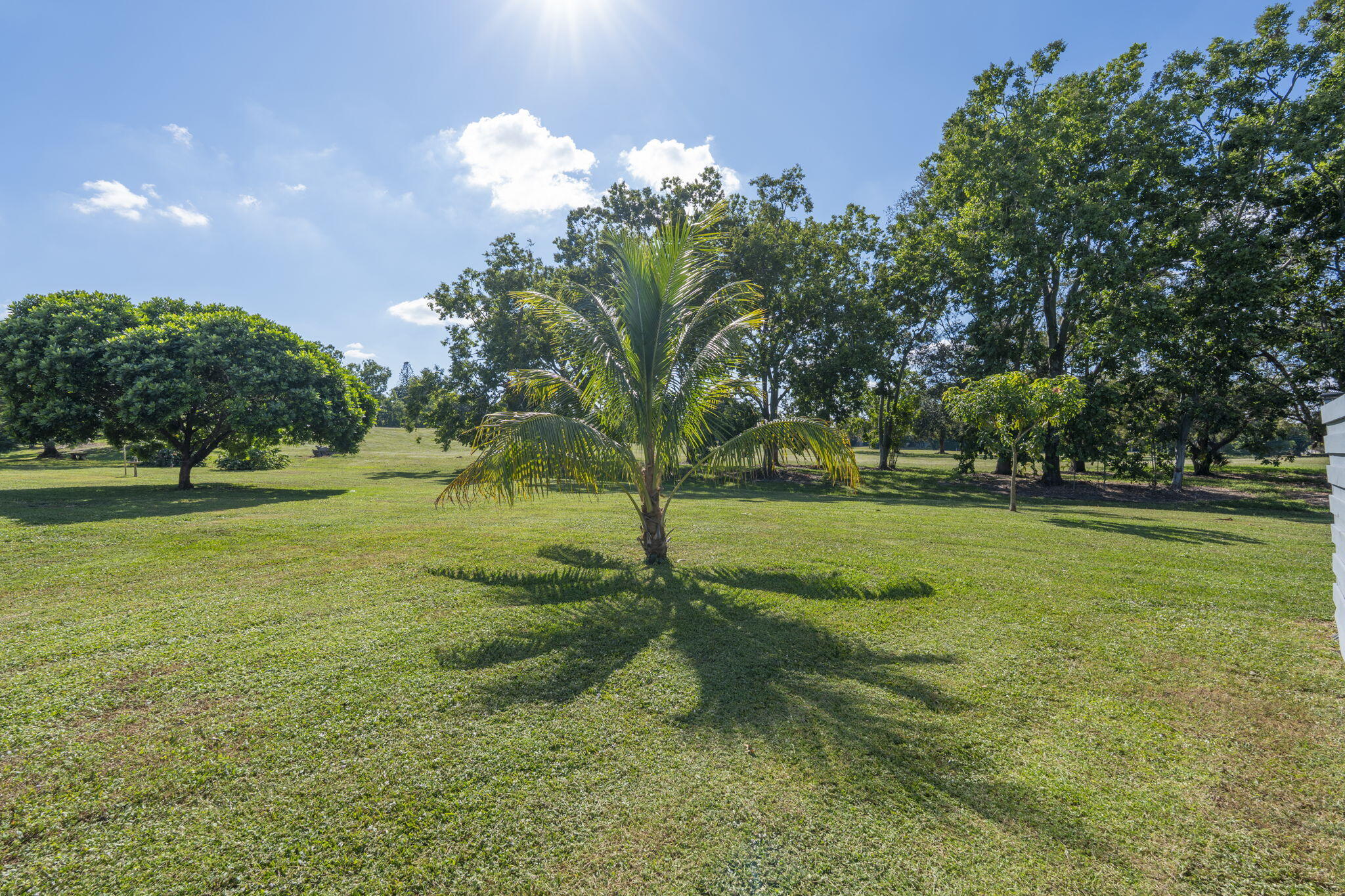 EASTWOOD OF WELLINGTON 3 - Residential