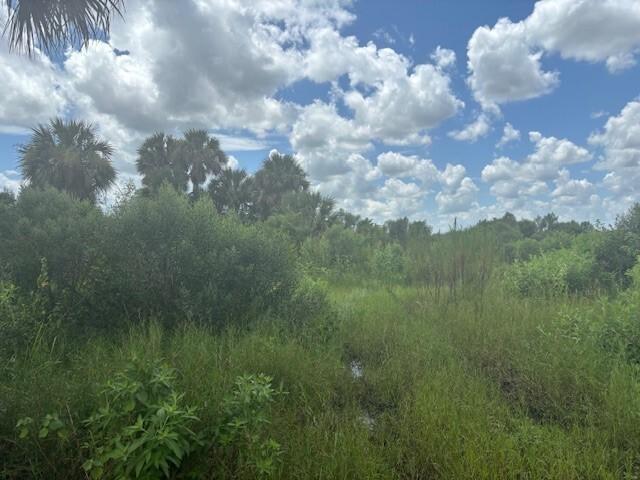 Double lot in Viking Estates. Close to the Kissimmee Prairie State Park. Bring your 4 -wheelers. This property is not only ideal for recreational uses such has camping, hunting and shooting, but it’s agricultural as well.
Adjacent land available.
Owner financing only $3k down
