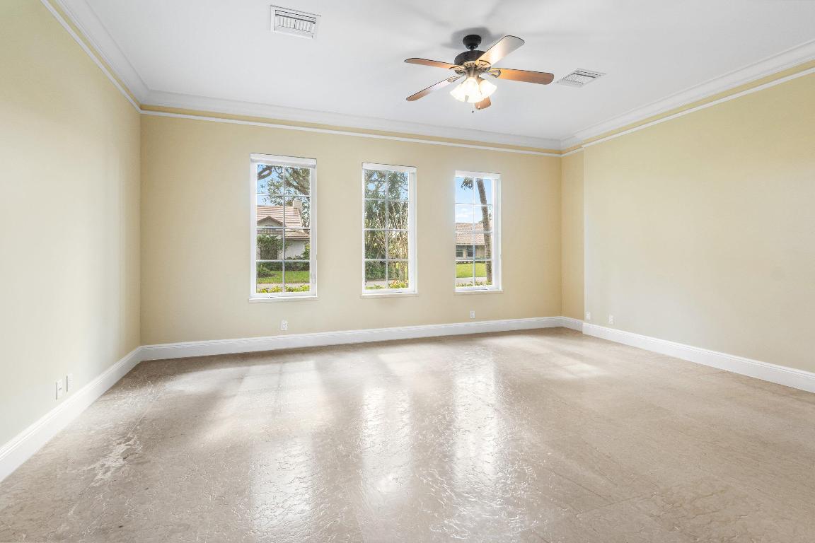 Pine Tree - Residential