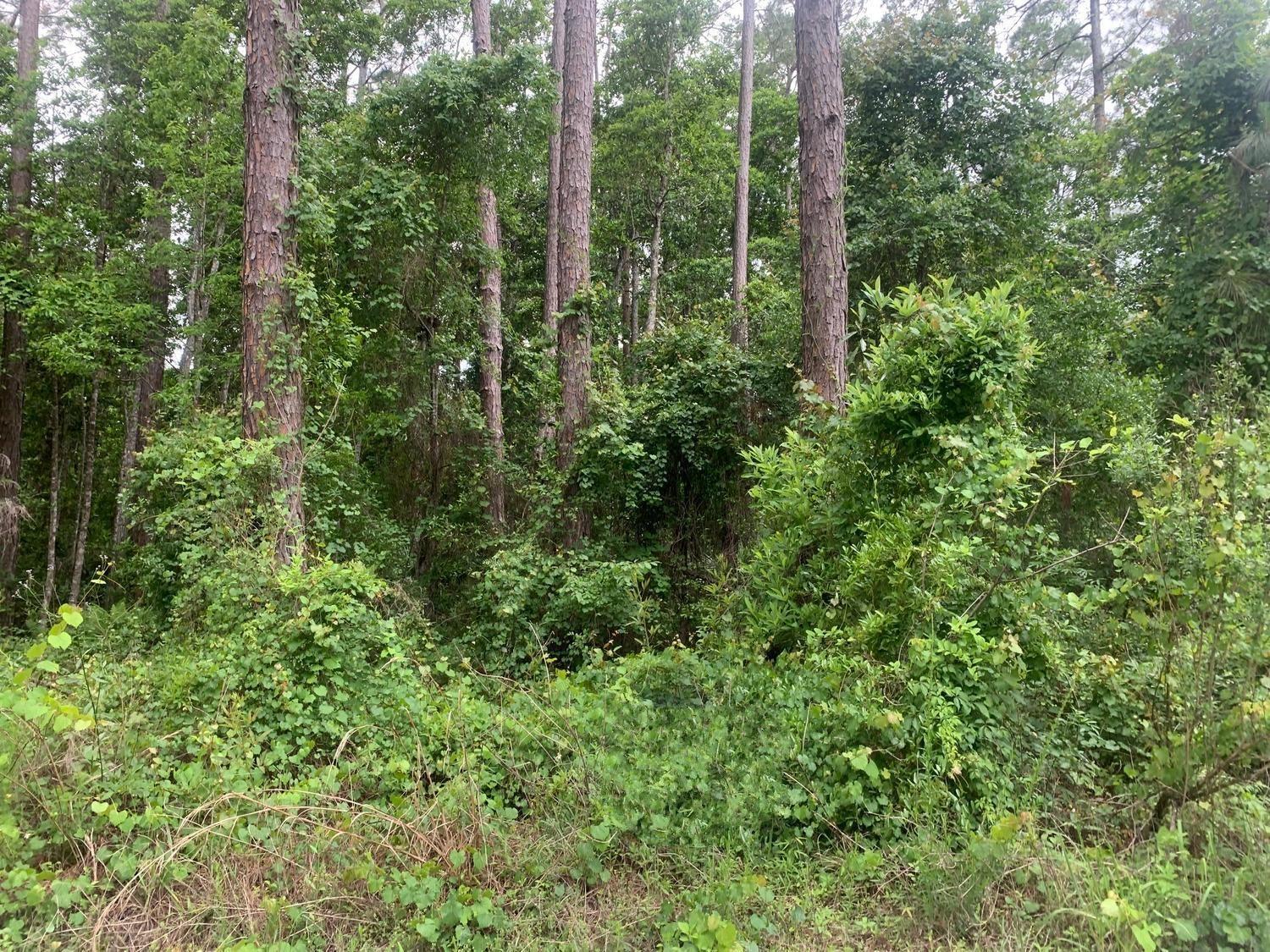 Rural vacant residential land, zoned R2 which allows mobile homes. St. John’s Riverside Estates of Putnam County with NO HOA fees. Quiet street, 2 adjacent properties available, with the possibility of owning almost 1 acre. Owner financing available with only $1,000 down.