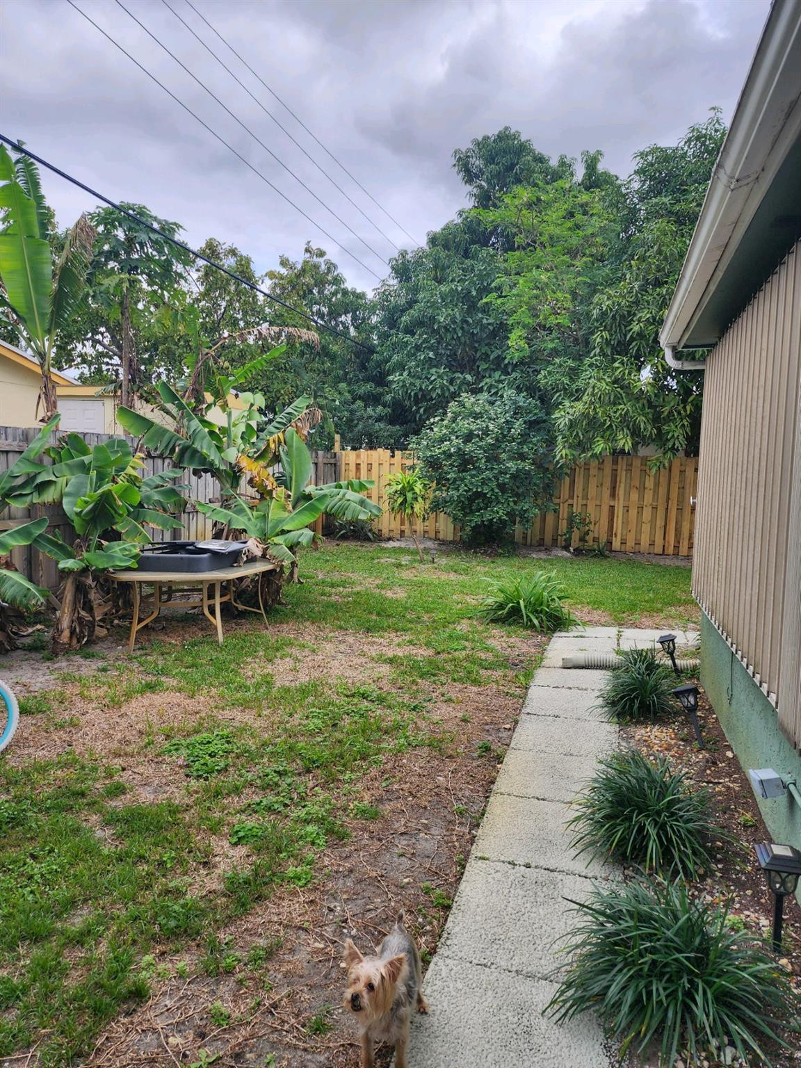 Lauderdale Lakes Northgat - Residential