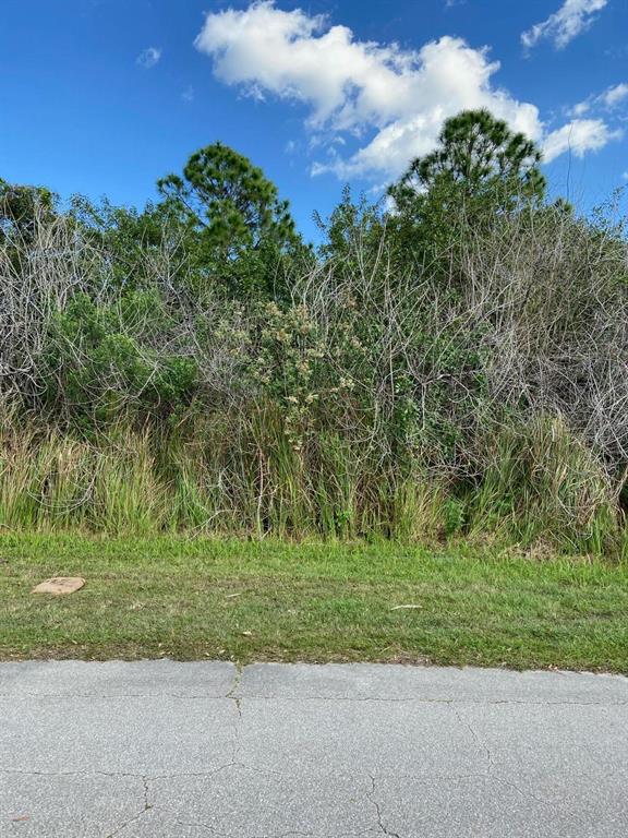 Photo of 2101 SW Gailwood Street, Port Saint Lucie, FL 34987 (MLS # R10694752)
