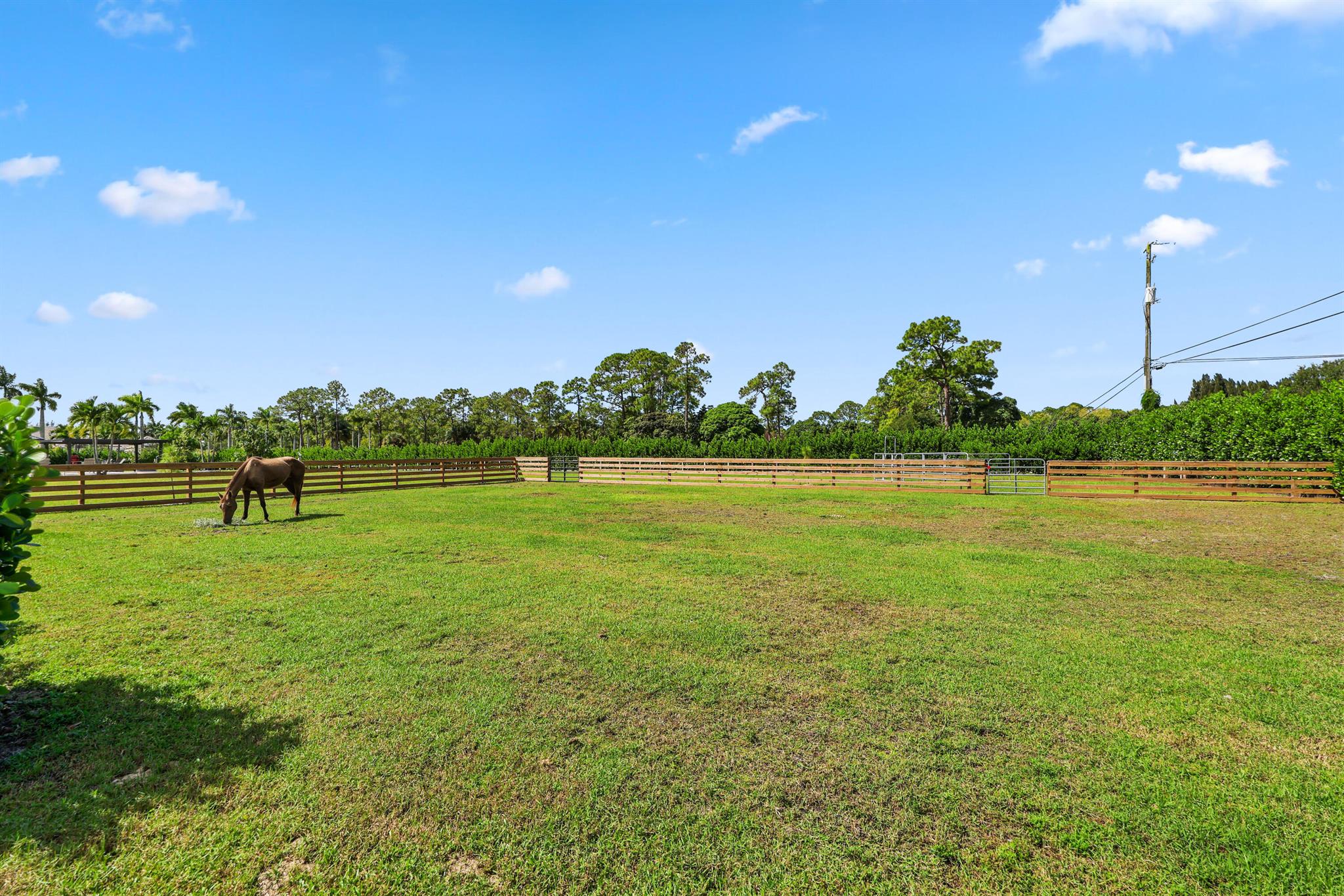 CALOOSA - Residential Lease