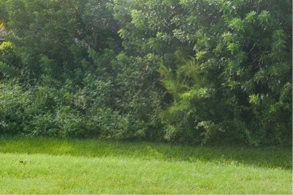 Photo of 526 SW Twig Avenue, Port St Lucie, FL 34983 (MLS # R10922287)