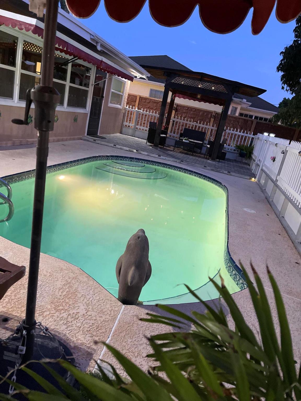 PORT ST LUCIE SECTION 18 - Residential