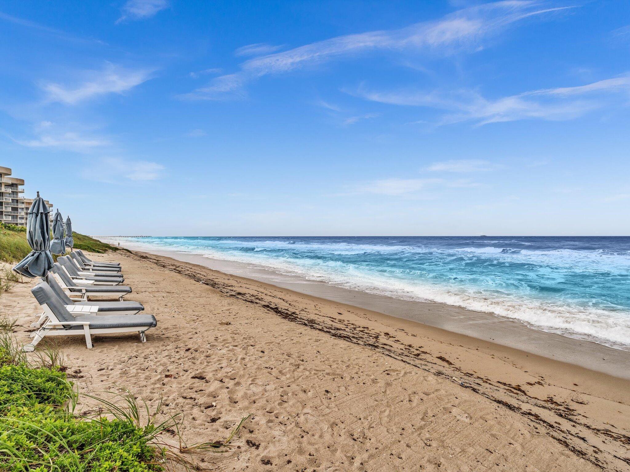 HALCYON OF PALM BEACH - Residential Lease