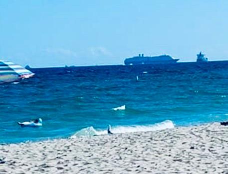 White Egret - Residential