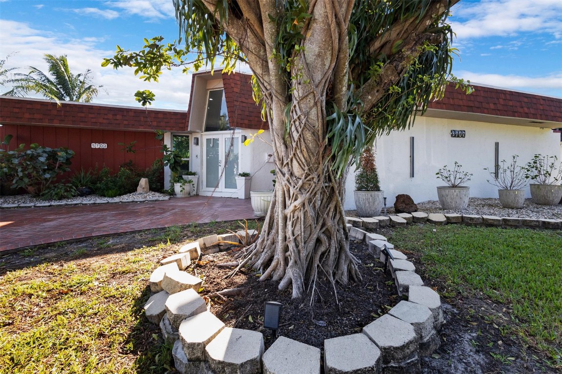 5702 Melaleuca Drive