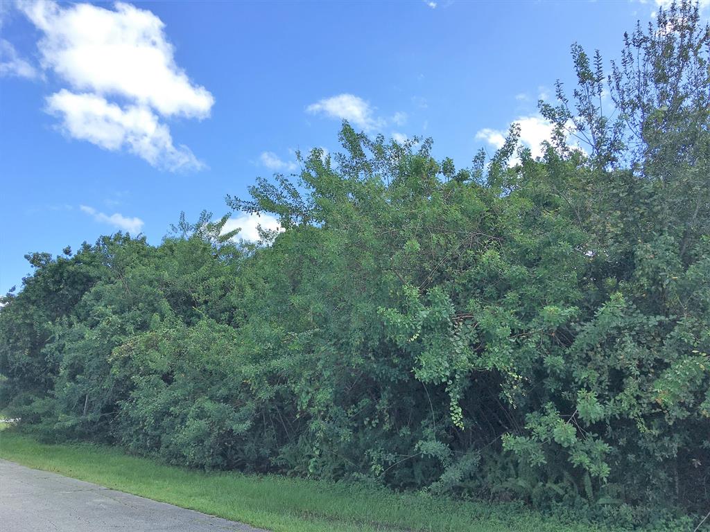 Nice NW Port Saint Lucie lot in area of newer homes. Located short drive to shopping, golf and I-95 highway for commute. Adjacent two lots also for sale MLS# RX-10669089 and RX-10669090.Buy one or all three for your new home site.