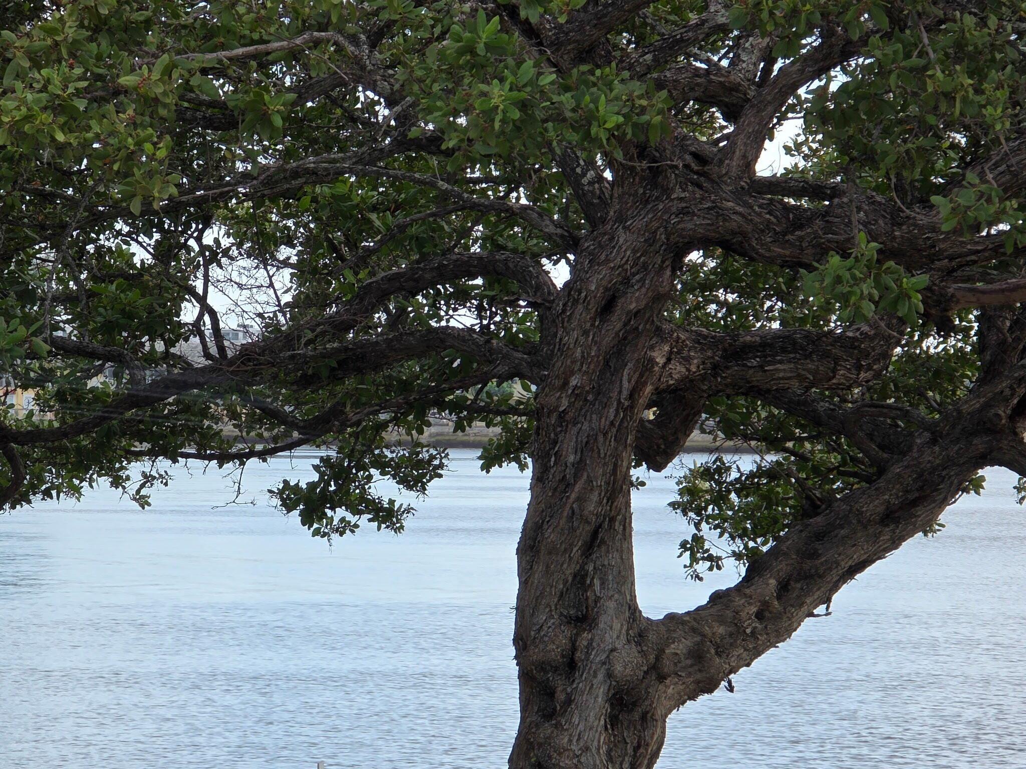 COURTYARD CONDO - Residential Lease