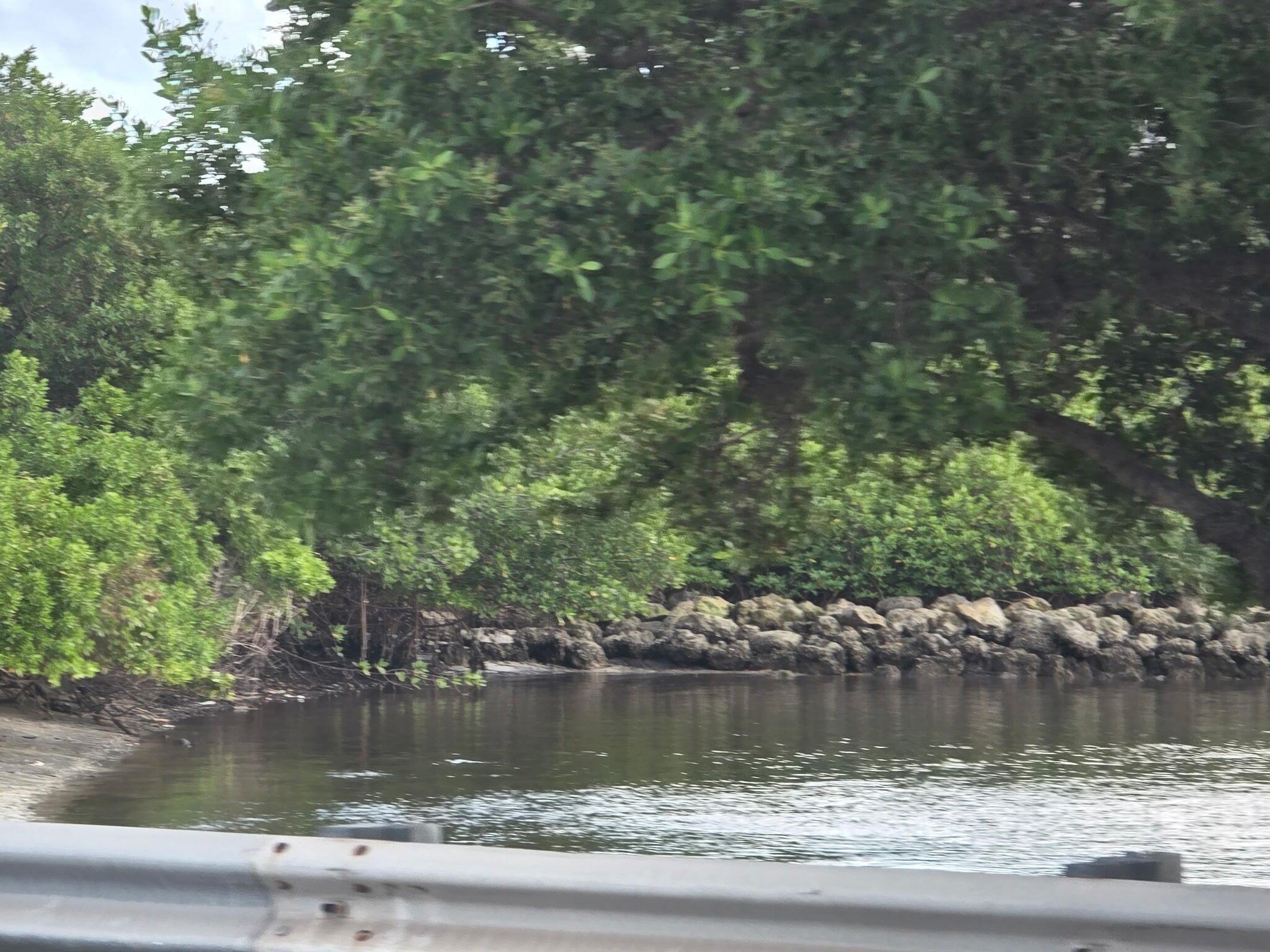 COURTYARD CONDO - Residential Lease