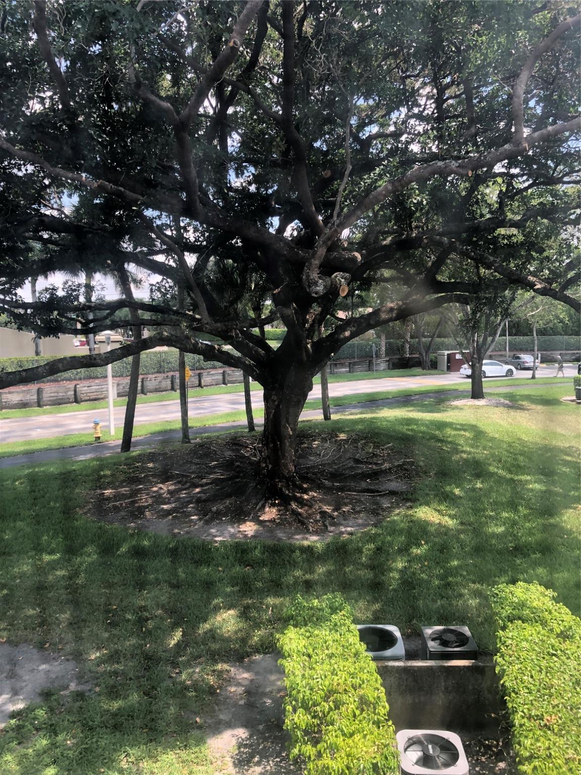 New Hampton At Century Vi - Residential Lease