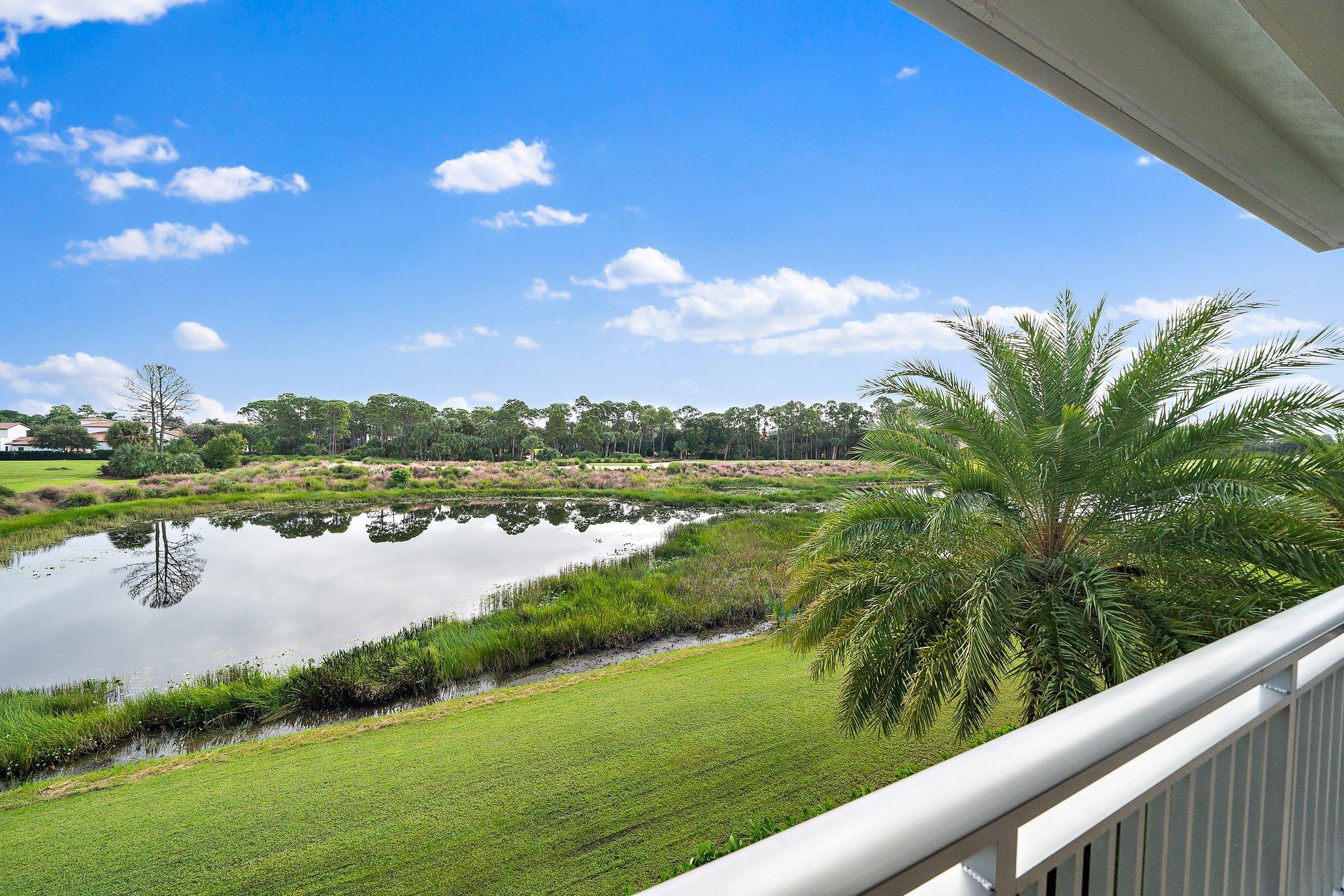 OLD PALM 4 - Residential