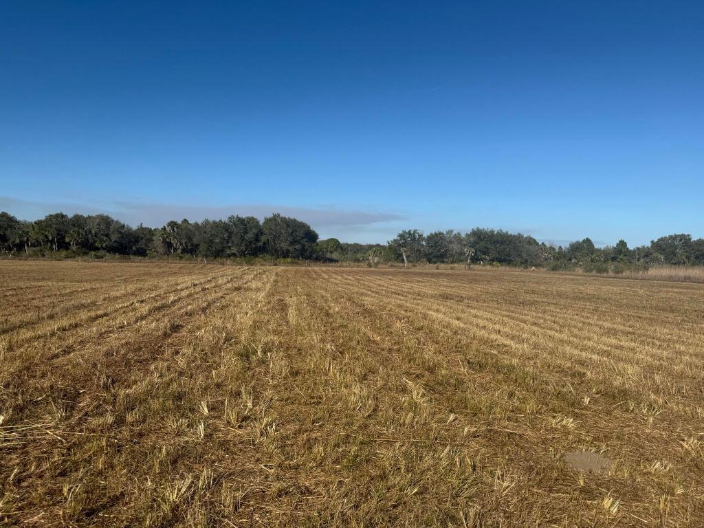 SOUTHERN COLONIZATION COMPANY - Land