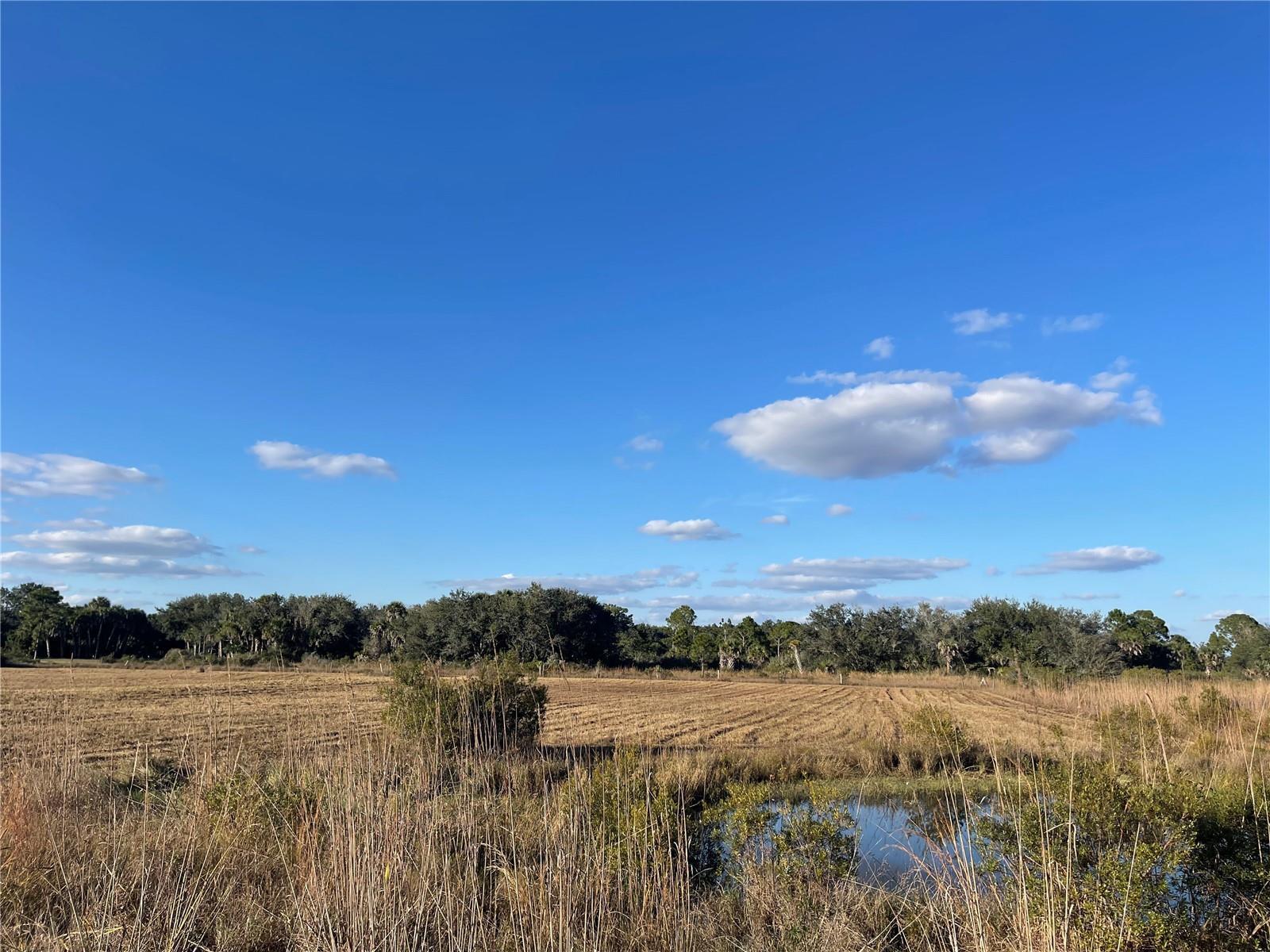 SOUTHERN COLONIZATION COM - Land