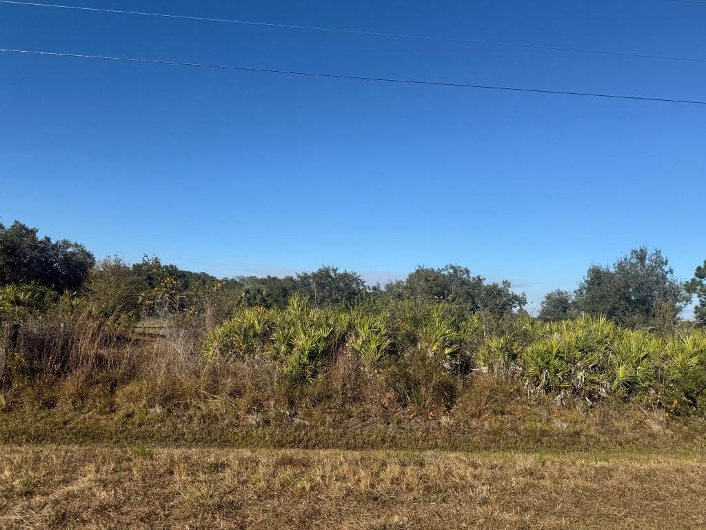 SOUTHERN COLONIZATION COMPANY - Land