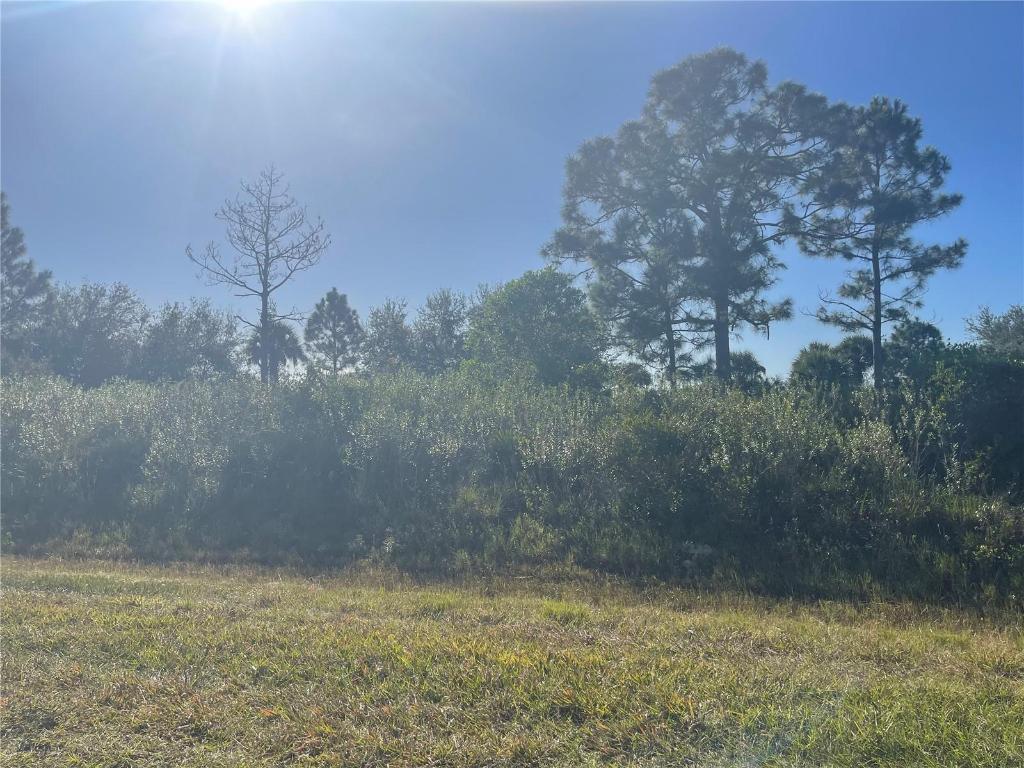 SOUTHERN COLONIZATION COMPANY - Land