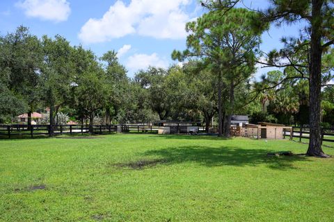 A home in Palm City