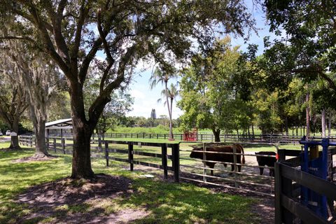 A home in Palm City